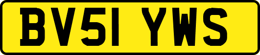 BV51YWS