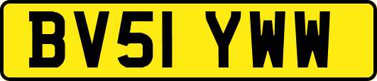 BV51YWW