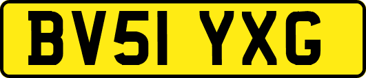 BV51YXG
