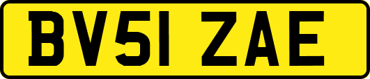 BV51ZAE