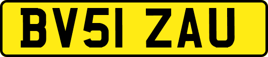 BV51ZAU