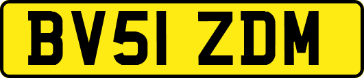 BV51ZDM