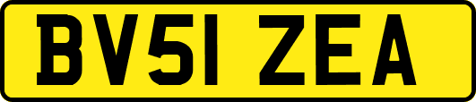 BV51ZEA