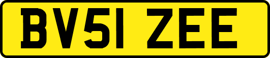 BV51ZEE