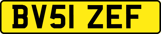 BV51ZEF