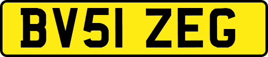 BV51ZEG