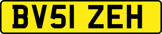 BV51ZEH