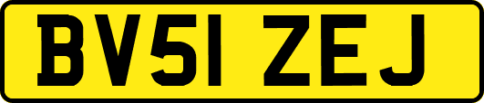 BV51ZEJ