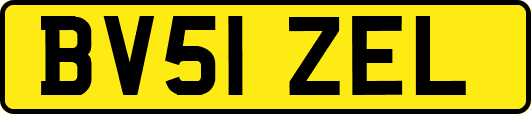 BV51ZEL