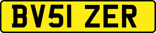 BV51ZER