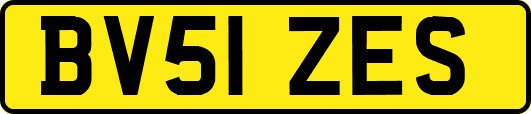 BV51ZES
