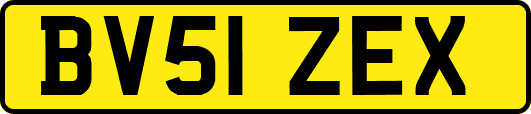 BV51ZEX