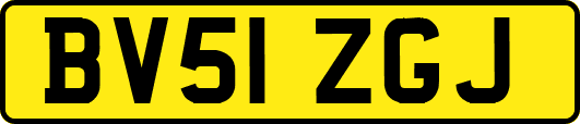 BV51ZGJ