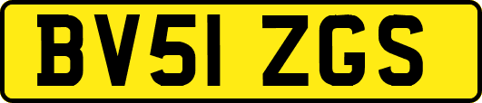 BV51ZGS