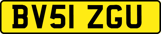 BV51ZGU