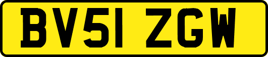 BV51ZGW