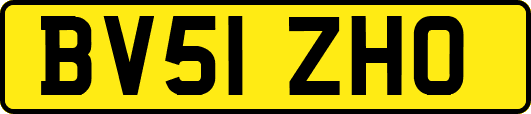 BV51ZHO