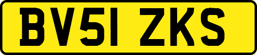 BV51ZKS