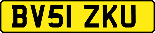 BV51ZKU
