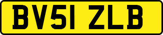 BV51ZLB