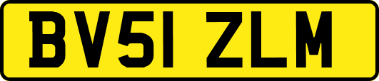 BV51ZLM