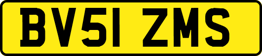 BV51ZMS