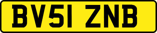 BV51ZNB