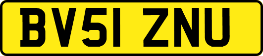 BV51ZNU