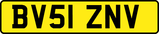 BV51ZNV