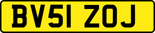BV51ZOJ