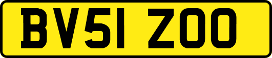 BV51ZOO