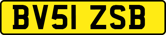BV51ZSB