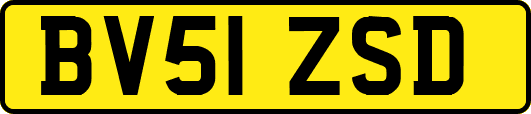 BV51ZSD