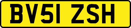BV51ZSH