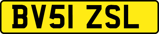 BV51ZSL