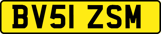 BV51ZSM