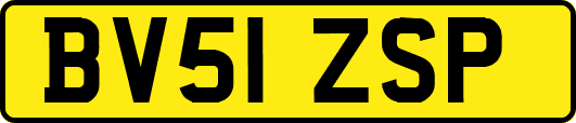 BV51ZSP