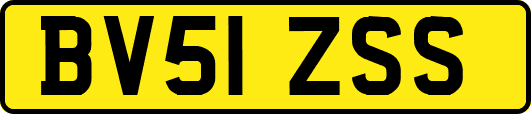 BV51ZSS