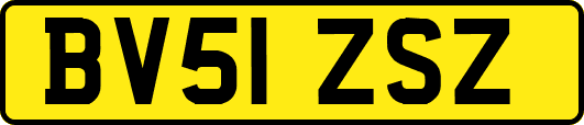 BV51ZSZ
