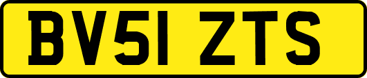 BV51ZTS