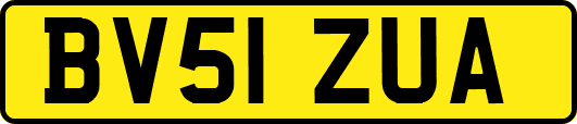 BV51ZUA