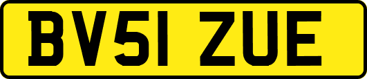 BV51ZUE