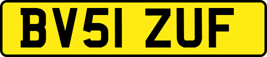 BV51ZUF