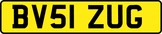 BV51ZUG