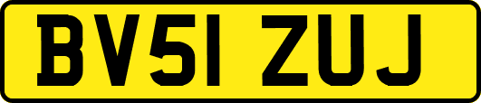 BV51ZUJ