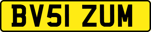 BV51ZUM