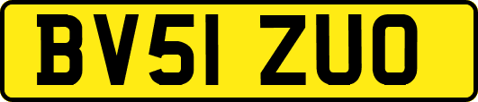 BV51ZUO