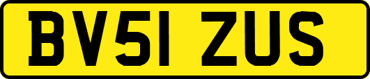 BV51ZUS