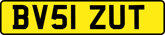 BV51ZUT