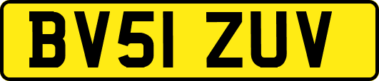 BV51ZUV